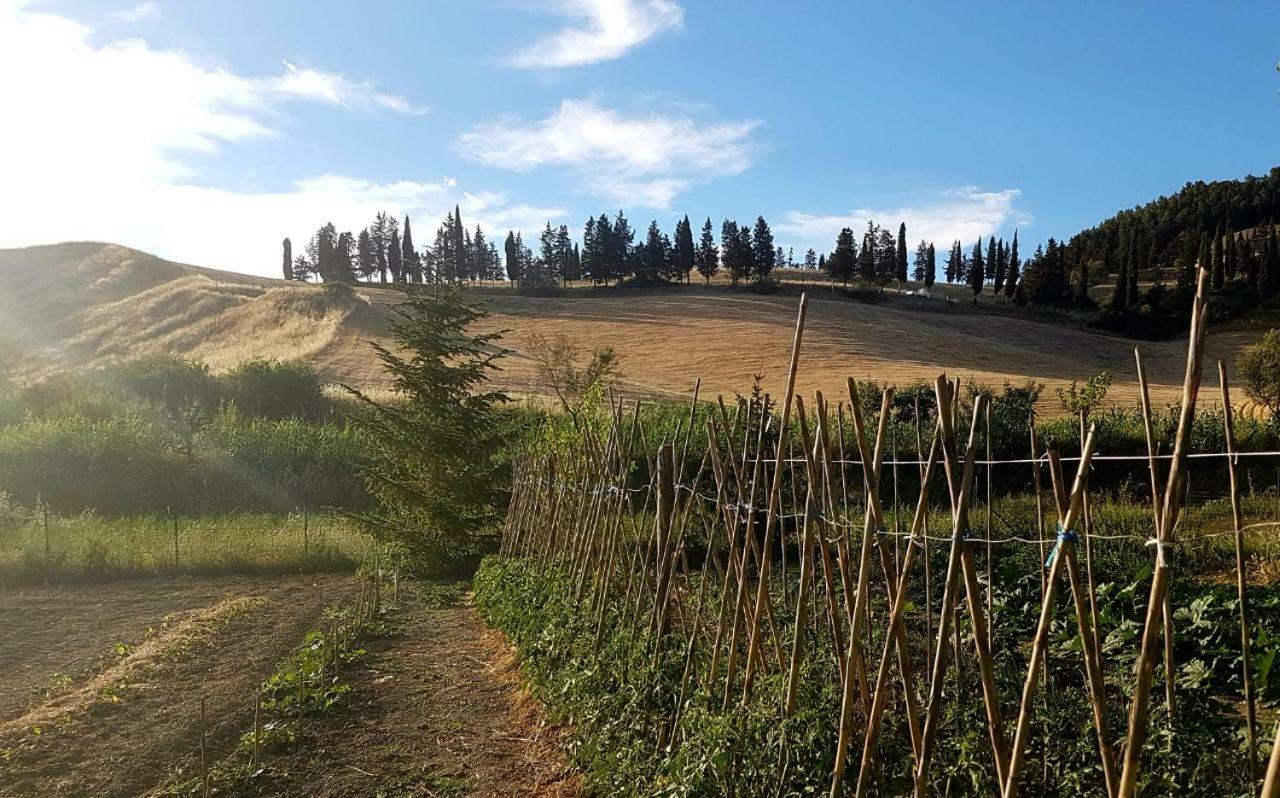 Agriturismo Podere Molino Peccioli Buitenkant foto