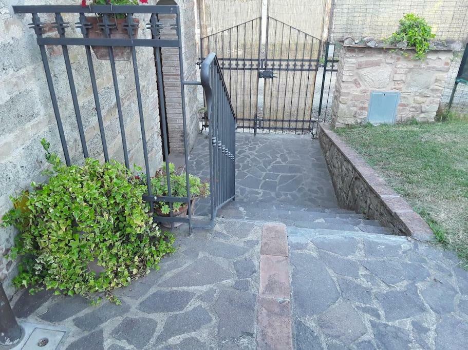 Agriturismo Podere Molino Peccioli Buitenkant foto