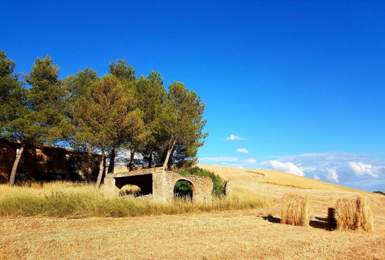 Agriturismo Podere Molino Peccioli Buitenkant foto