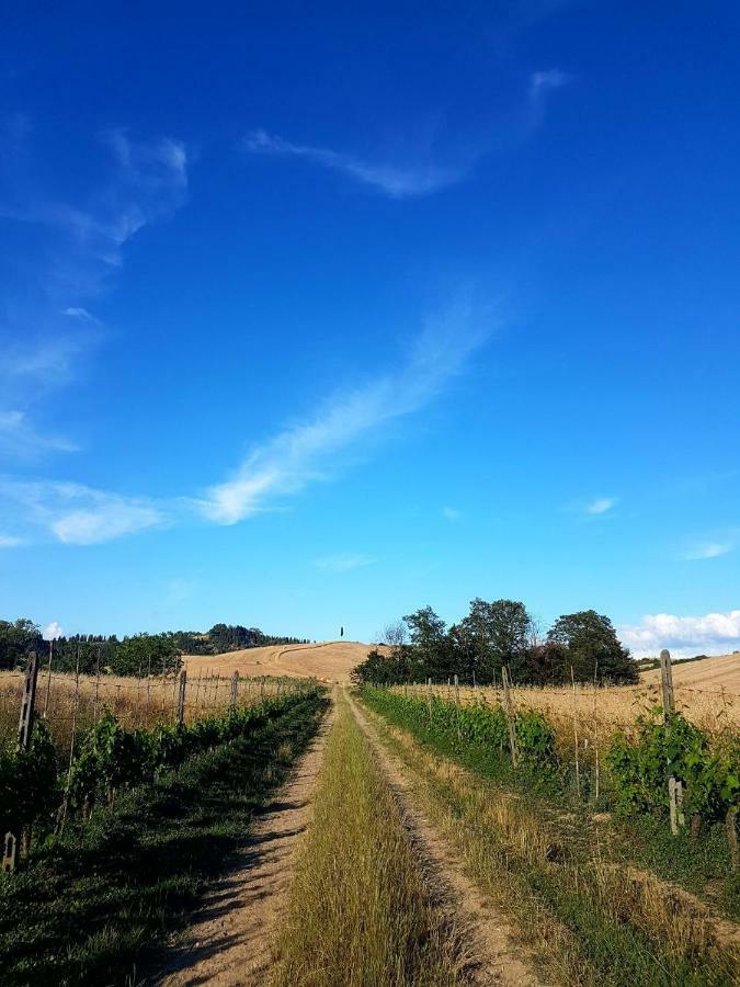 Agriturismo Podere Molino Peccioli Buitenkant foto