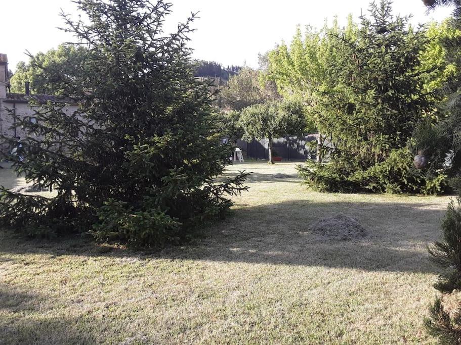 Agriturismo Podere Molino Peccioli Buitenkant foto